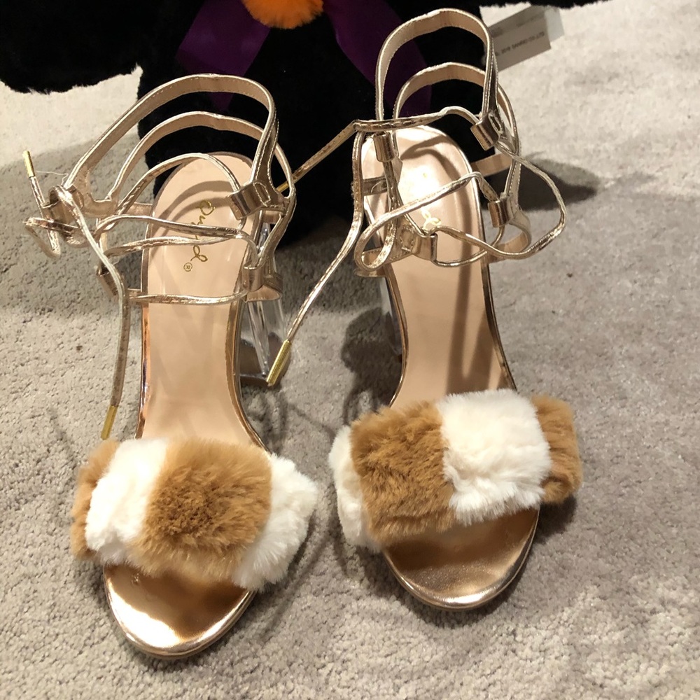 Shoes 🐶 - Picture 8 of 8